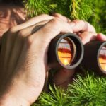 Best Marketing Tools To Steal Your Competitor’s Customers